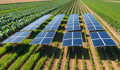Agricultural solar panel Agricultural solar panel