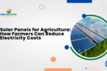 Solar Panels for Agriculture